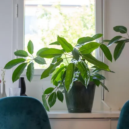 Bel Lumineux A Биарриц