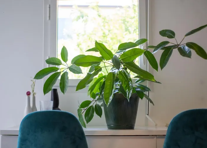 Bel Lumineux A Biarritz